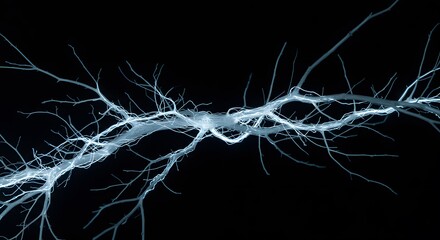 Abstract Neural Network or Neurons on Black Background – Scientific Visualization, Healthcare Concept