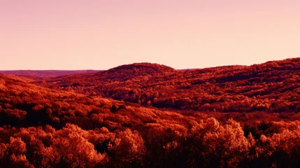 Fototapete Vibrant autumn landscape with warm hues transforming rolling hills © tashechka