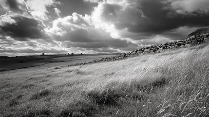 Black and white landscape with dramatic sky and grassy hill