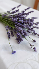 Dry lavender flowers on linen tablecloth. White tone