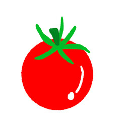 tomato vector illustration