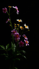 Parede de flores, studio lighting. White tone