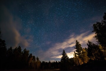Starry night sky over a dark forest