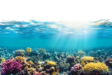 Underwater coral reef marine life with sun rays and clear blue ocean water view