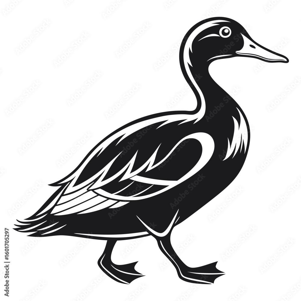 Poster illustration of a black and white duck walking with detailed feathers and a long neck in simple desi