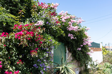 Charming cobblestone street in Sintra with traditional houses
