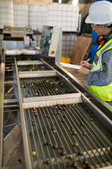 Factory inspector writing on clipboard by stainless steel conveyor carrying olives in factory