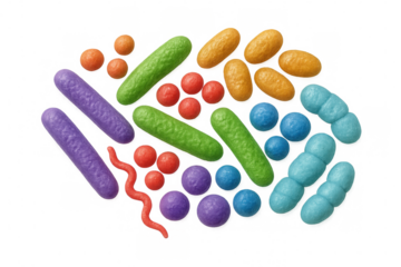 Colorful microscopic bacteria and viruses including bacilli, cocci, spirilla revealing intricate microbiological structures against transparent background for scientific visualization