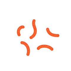 Bacillus subtilis bacterial vector