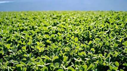 6 4K looped video animation cosmic blue light tunnel perfect sci fi intros digital design video high quality video outer space themed backgrounds futuristic - Powered by Adobe