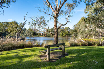 Wooden bench facing a peaceful lake surrounded by native trees and reeds at Balyang Sanctuary in...