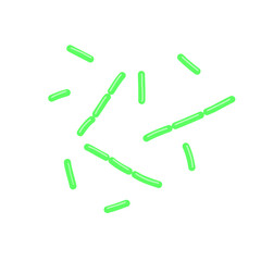 diplobacillus bacteria