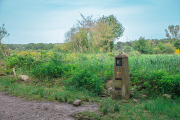 Conmovedora fotografía tomada en el Camino de Santiago en Galicia, España.