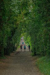 Conmovedora fotografía tomada en el Camino de Santiago en Galicia, España.