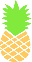 Abstract Pineapple flat  illustration