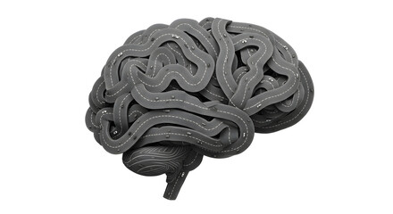 Detailed Black and White 3D Render of a Human Brain Isolated on White Background