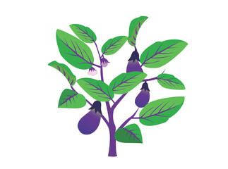 ナスのイラスト素材