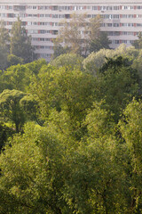 Fototapeta premium Residential high-rise partially obscured by lush green trees, capturing the contrast between urban living and natural environment.