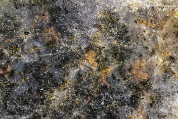 Macro view of a polished stone slice showing detailed mineral structure, with black, gold, and...