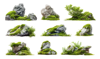 Collection of rocks and moss