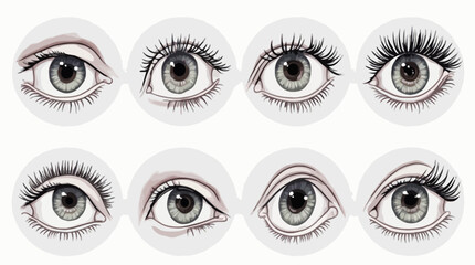 Collection of detailed eye illustrations showcasing different lash styles