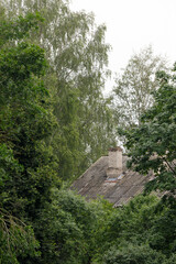 A weathered, tiled roof with chimney peeks through thick green foliage and tall trees in a quiet...