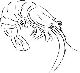 Minimalist black and white line art illustration of a shrimp, featuring clean curves and simple strokes for a modern, elegant seafood design concept