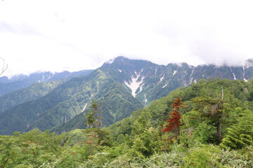 白馬 小遠見山の風景。鹿島槍ヶ岳、カクネ里雪渓