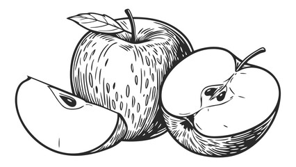 Vintage Black and White Illustration of Whole and Sliced Apples with Leaf