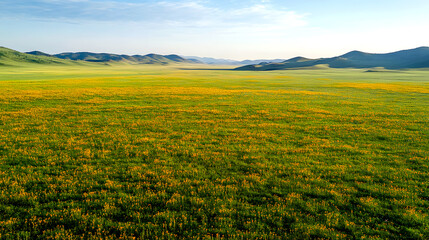 Fototapeta premium Birds-Eye Green Meadow