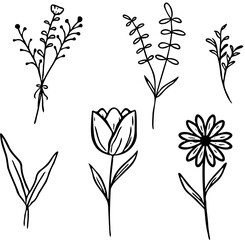 set of floral elements