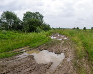 Muddy countryside trail with large puddles after rain, surrounded by green grass and trees under a...