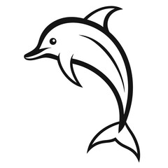 Dolphin on white background