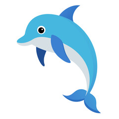 Dolphin on white background