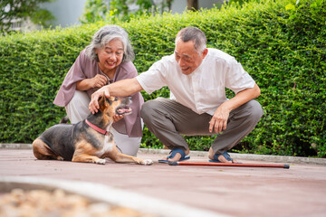 Happy Senior Asian Couple Petting Their Dog Outdoors, Elderly Asian Man and Woman Interacting with...