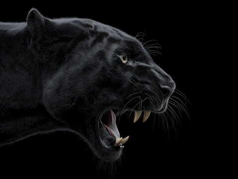 Black panther roaring in darkness, ultra-realistic close-up with sharp teeth and intense glare, studio lighting. Generative by AI