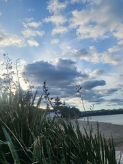 grass and sky
