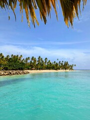 The Beach or Ocean at the Pigeon Point Heritage Park, Pigeon Point, Tobago, West Indies.