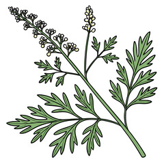 artemisia absinthium vector