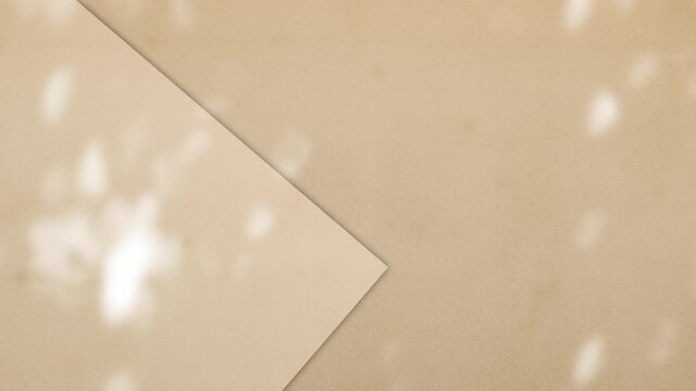 Beige background shadow leaves pastel brown abstract backdrop summer naturedesert, template travel luxury design wallpaper surface display for presentation product cosmetic, minimalist pattern