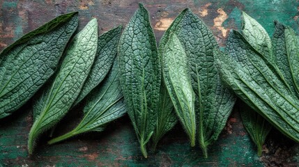 Dark Green Leaves on Rustic Wooden Surface