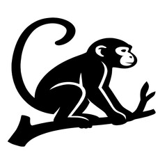 Monkey  silhouette vector illustration whit white background