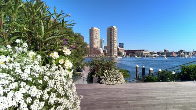The Boston Harbor and financial district in Massachusetts, USA on a sunny summer morning.