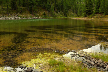 Intricate designs on the bottom of a beautiful mountain lake with clear water and a reflection of a dense coniferous forest on the calm surface on a cloudy summer day.