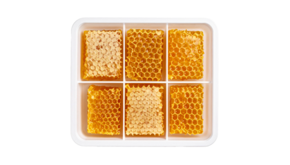 Honeycomb in Plastic Box, Isolated on Transparent Background, Top View