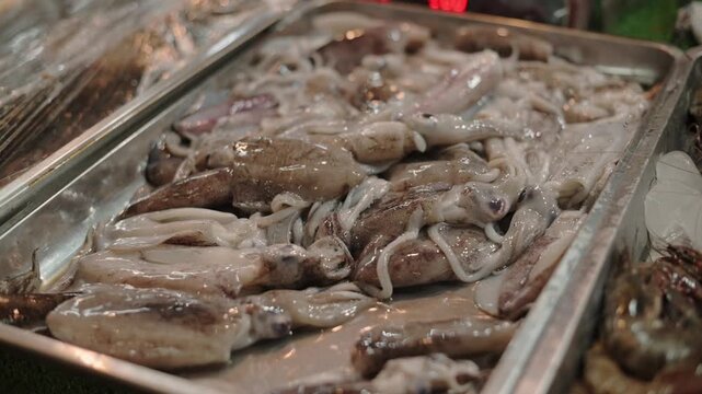 Fresh squid piled on metal tray at seafood market in El Nido, Philippines. Close-up of raw squid on metal tray in seafood stall at El Nido market