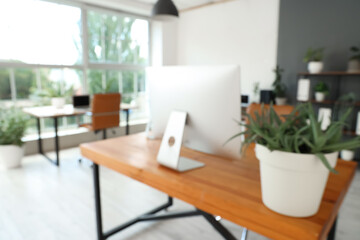 Blurred view of workplace with computer and plant