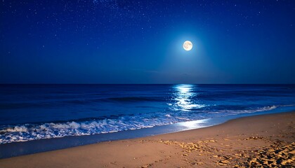 Night beach scene with moon