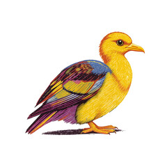 Fototapeta premium Detailed Illustration of a Yellow Bird with Black Background Fauna Wildlife and Colorful Plumage Isolated Avian Design and Artistic Decorative Elements