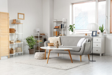 Comfortable sofa, coffee table and shelving units with books in interior of living room